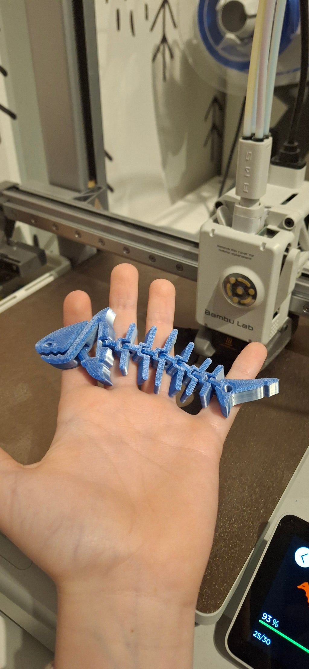 Flexi Rekinek