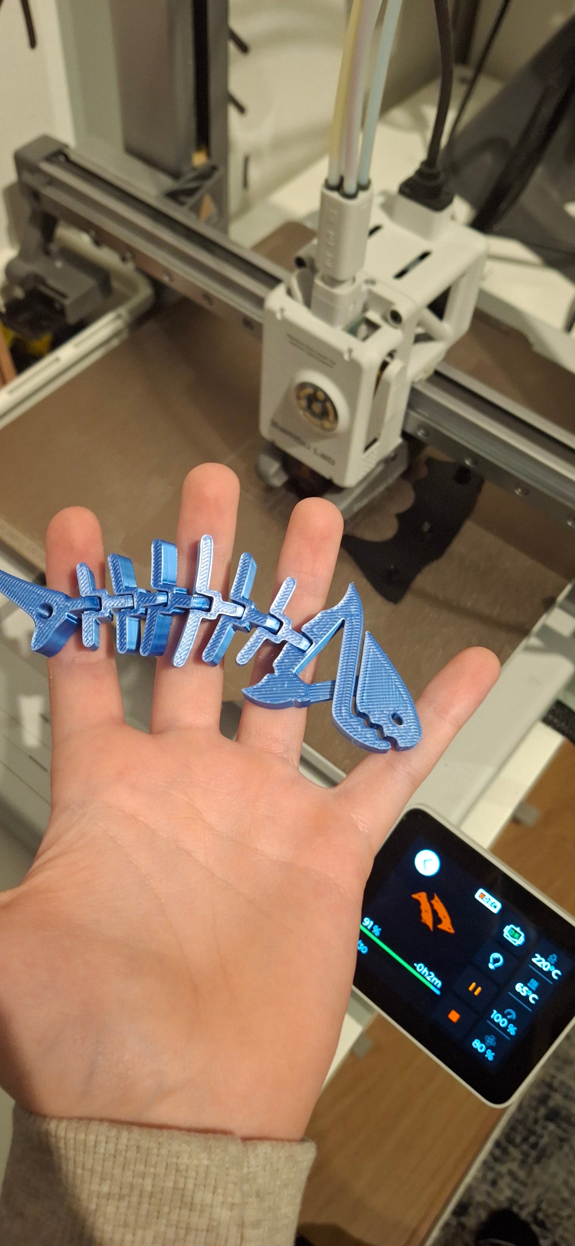 Flexi Rekinek
